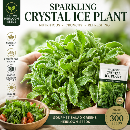 ⭐Sparkling Crystal Ice Plant Heirloom Gourmet Salad Greens Seeds-EV